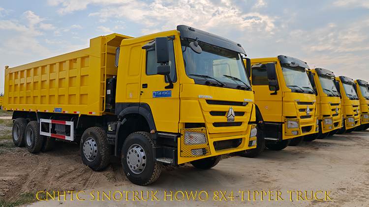 Cnhtc Sinotruk Howo 8x4 Tipper Truck for Sale in Guinea