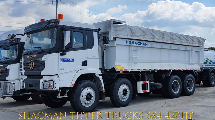 China Truck Shacman Used Tipper Trucks 8x4 Price in Tanzania
