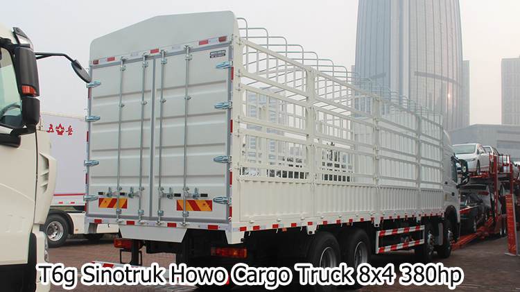 Used T6g Sinotruk Howo Cargo Truck 8x4 12 Wheel for Sale in Libya