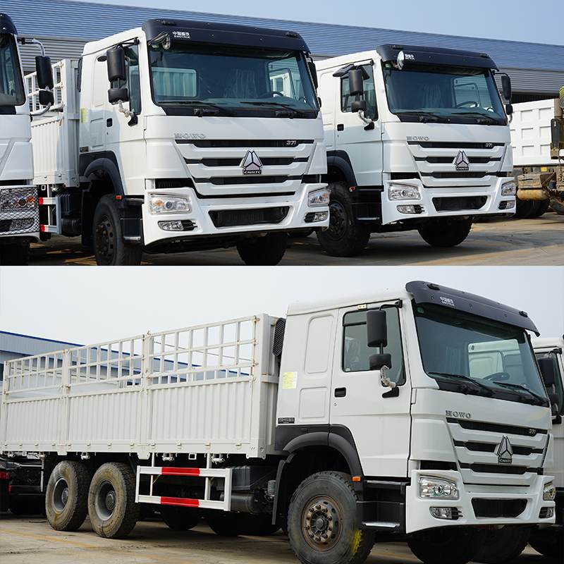 Sinotruk Howo Cargo Truck 6x4