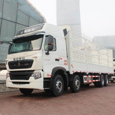 380hp T6g Sinotruk Howo Cargo Truck 8x4 12 Wheel